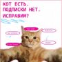 У нас для тебя кое-что есть
