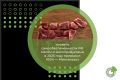 УРОВЕНЬ САМООБЕСПЕЧЕННОСТИ РФ МЯСОМ И МЯСОПРОДУКТАМИ В 2025 ГОДУ ПРЕВЫСИЛ 100% — МИНСЕЛЬХОЗ