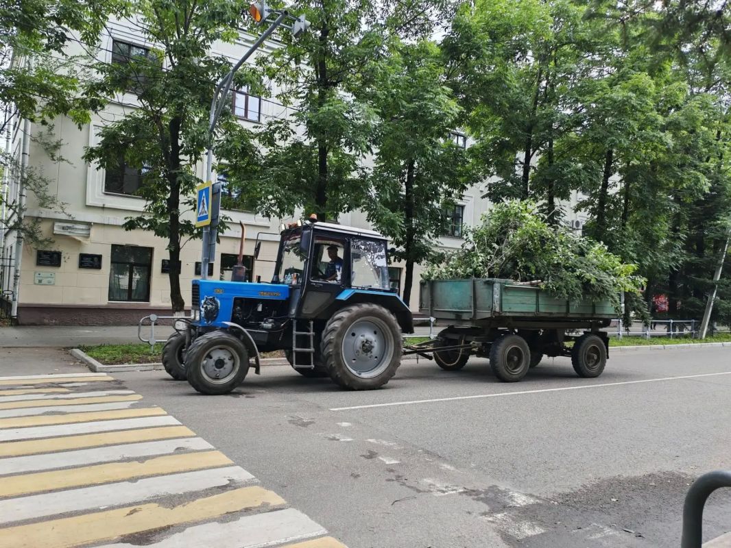 В областном центре продолжается борьба с травяной растительностью В областном центре продолжается борьба с травяной растительностью