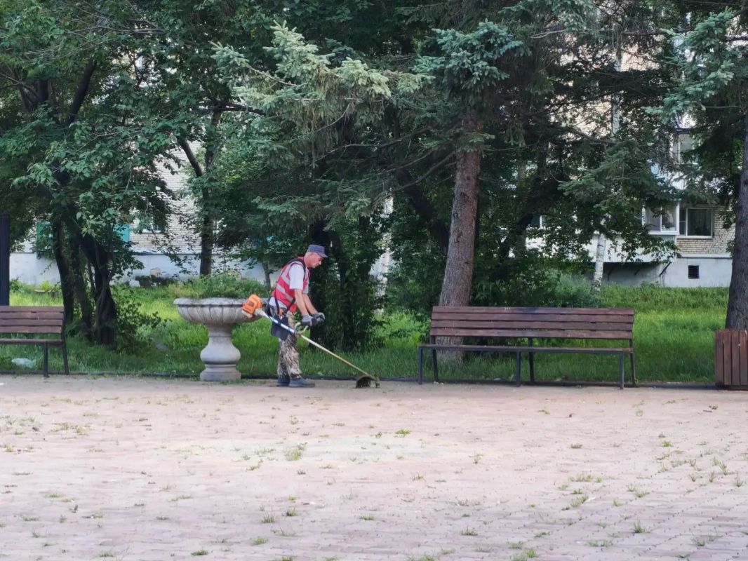 В областном центре продолжается борьба с травяной растительностью В областном центре продолжается борьба с травяной растительностью