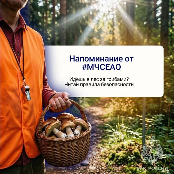 Грибы ждут. А ты — готов?. Даже в добром лесу есть правила
