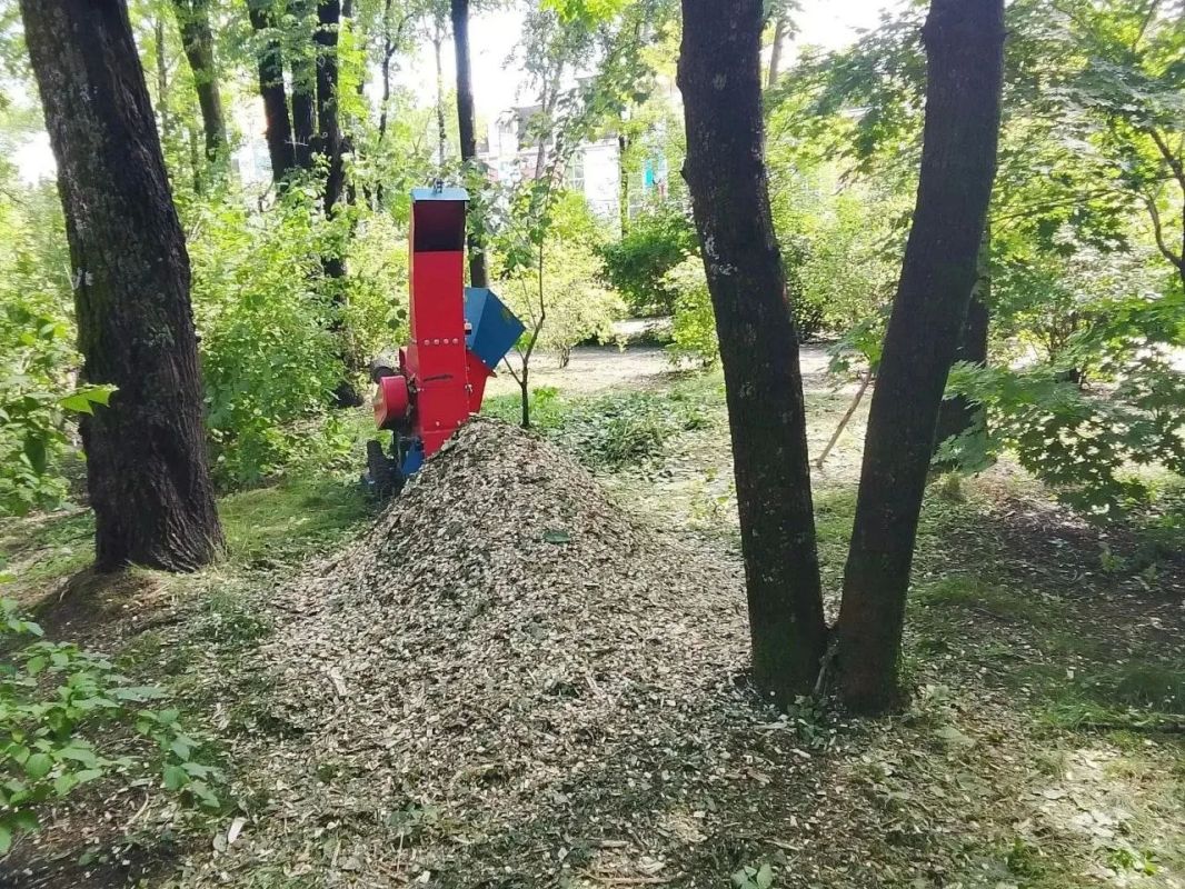 В сквере Первостроителей в Биробиджане установят лавочки и урны В сквере Первостроителей в Биробиджане установят лавочки и урны