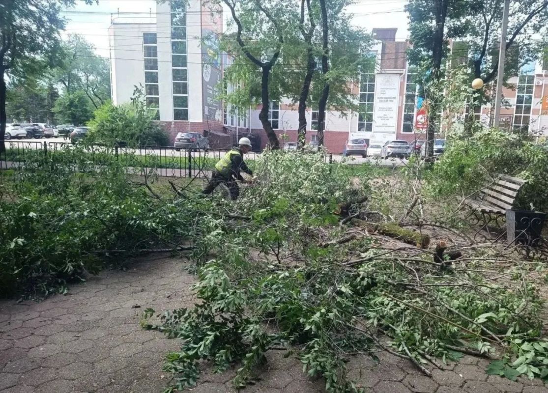 В сквере Первостроителей в Биробиджане установят лавочки и урны В сквере Первостроителей в Биробиджане установят лавочки и урны