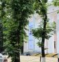 Завершился период выдвижения кандидатов в депутаты Государственной Думы по 220-му одномандатному избирательному округу