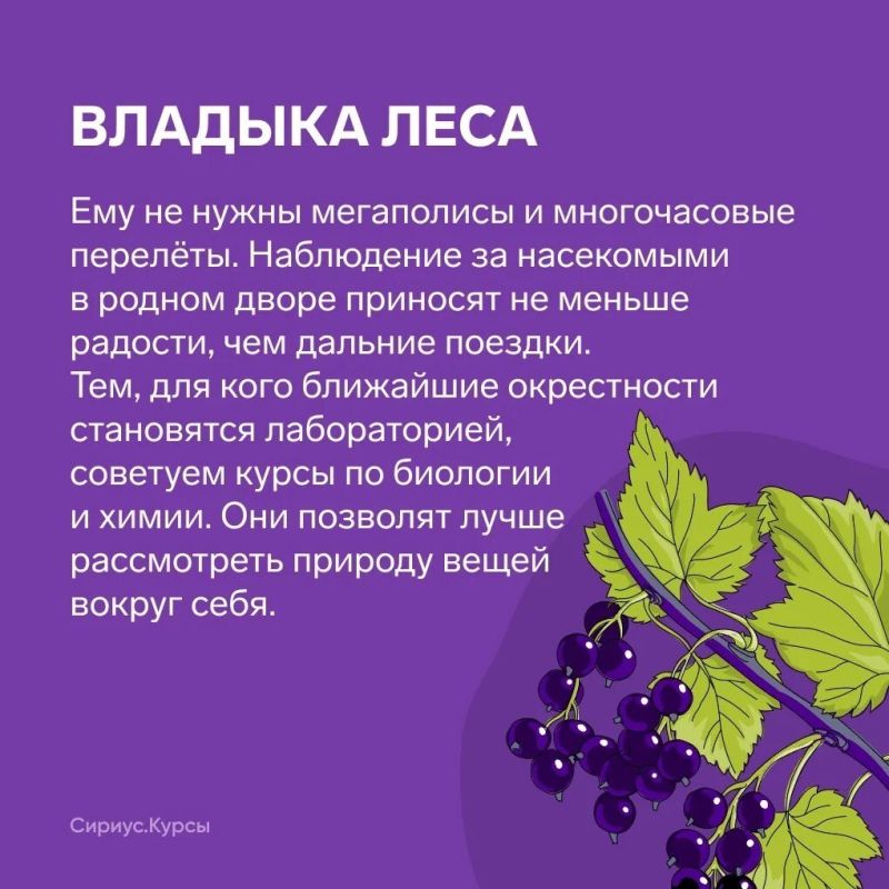 Стремимся к новым открытиям даже во время каникул Стремимся к новым открытиям даже во время каникул