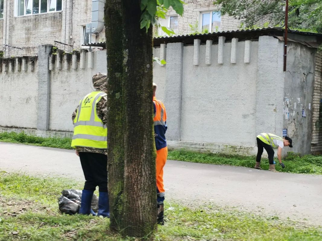 В Биробиджане продолжается уборка и покос травы В Биробиджане продолжается уборка и покос травы