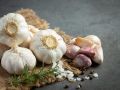 Искусство хранения чеснока: практические советы