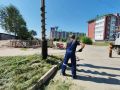 � ����������� ������������ ������ �������� � ������� ��������