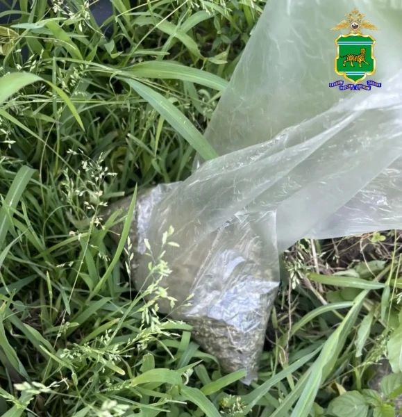 Полицейские ЕАО задержали подозреваемых в незаконном культивировании наркосодержащих растений Полицейские ЕАО задержали подозреваемых в незаконном культивировании наркосодержащих растений