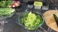 Как запастись вкусами лета: секреты заморозки для окрошки и не только