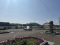 Жару и ливни прогнозируют в ЕАО в ближайшие три дня
