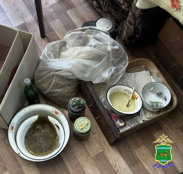 В ходе первого этапа операции «Мак» полицейскими ЕАО выявлено 39 очагов произрастания дикорастущей конопли В ходе первого этапа операции «Мак» полицейскими ЕАО выявлено 39 очагов произрастания дикорастущей конопли