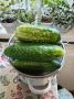 Праздничный салат "Зимний Король": заготовки на зиму
