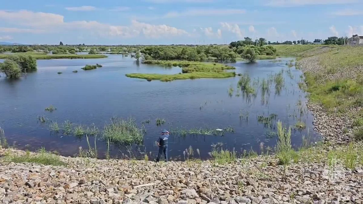 Уровень Амура растёт: что нужно знать?
