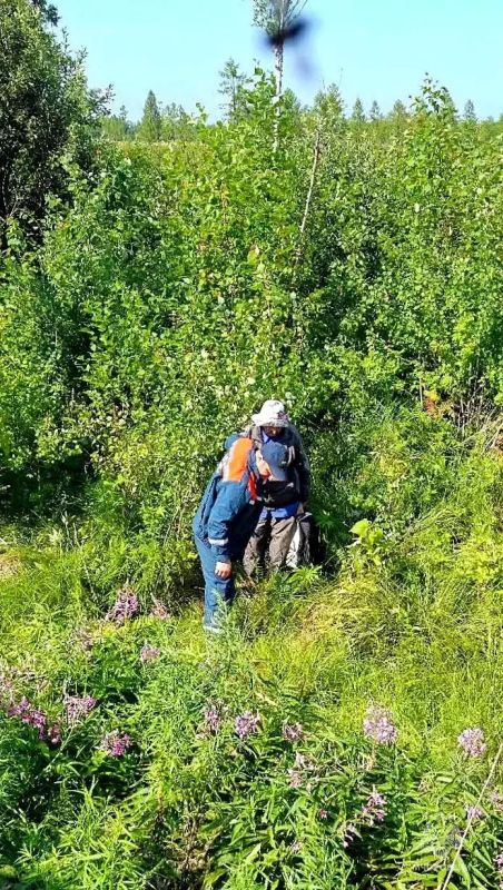 В поисках голубики: пенсионерку спасли в болоте вблизи Биробиджана В поисках голубики: пенсионерку спасли в болоте вблизи Биробиджана