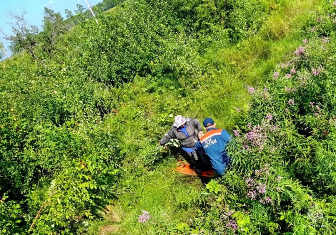 В поисках голубики: пенсионерку спасли в болоте вблизи Биробиджана В поисках голубики: пенсионерку спасли в болоте вблизи Биробиджана