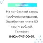 Вакансии и работа для тебя