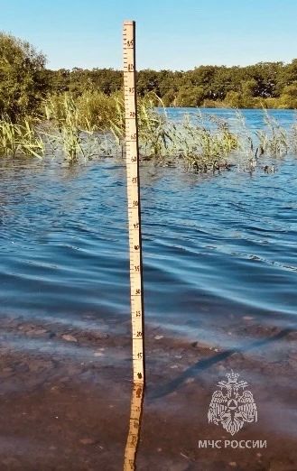 Пик паводка в ЕАО: молодёжный лидер на передовой борьбы со стихией Пик паводка в ЕАО: молодёжный лидер на передовой борьбы со стихией