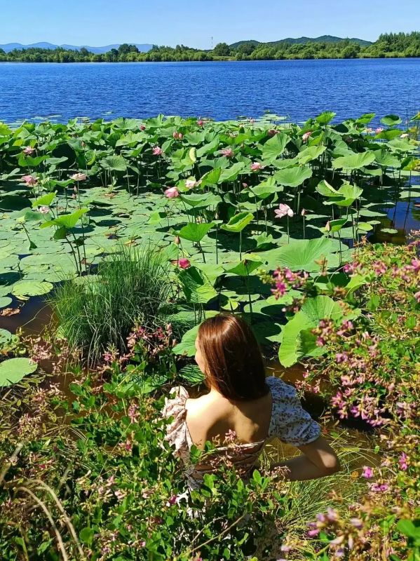 15 августа «Бирария» приглашает вас на финальный тур к лотосам 15 августа «Бирария» приглашает вас на финальный тур к лотосам