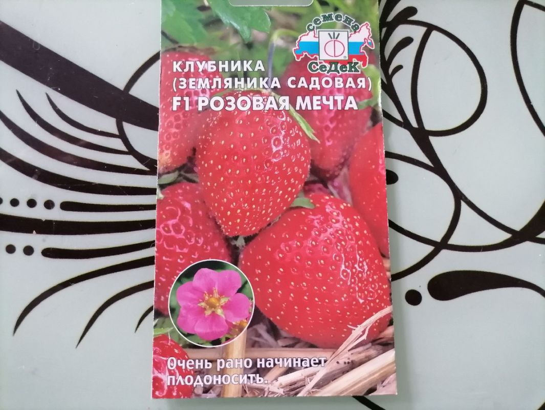 Необычная земляника с ягодами на усах удивила садоводов