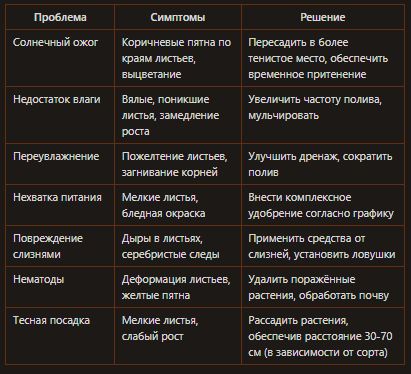 Секреты ухода за хостами: 5 ключевых ошибок, которые стоит избежать