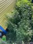 � ������������ ������ �������� ������� ������� ������������� � ���������� ��������������� �������