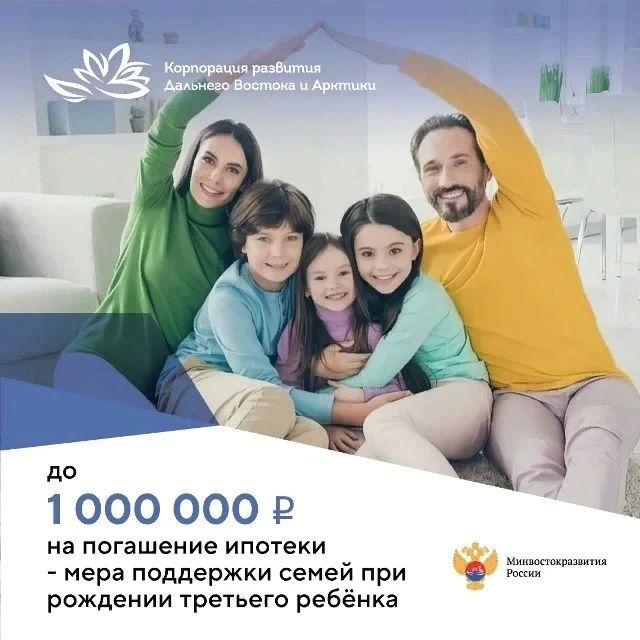 Миллион рублей от государства могут получить многодетные семьи ЕАО