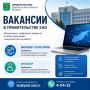 ВАКАНСИИ В ПРАВИТЕЛЬСТВЕ ЕАО