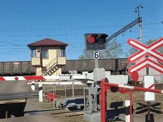 Транспортная полиция проводит проверку по факту травмирования мужчины на железнодорожном переезде в ЕАО