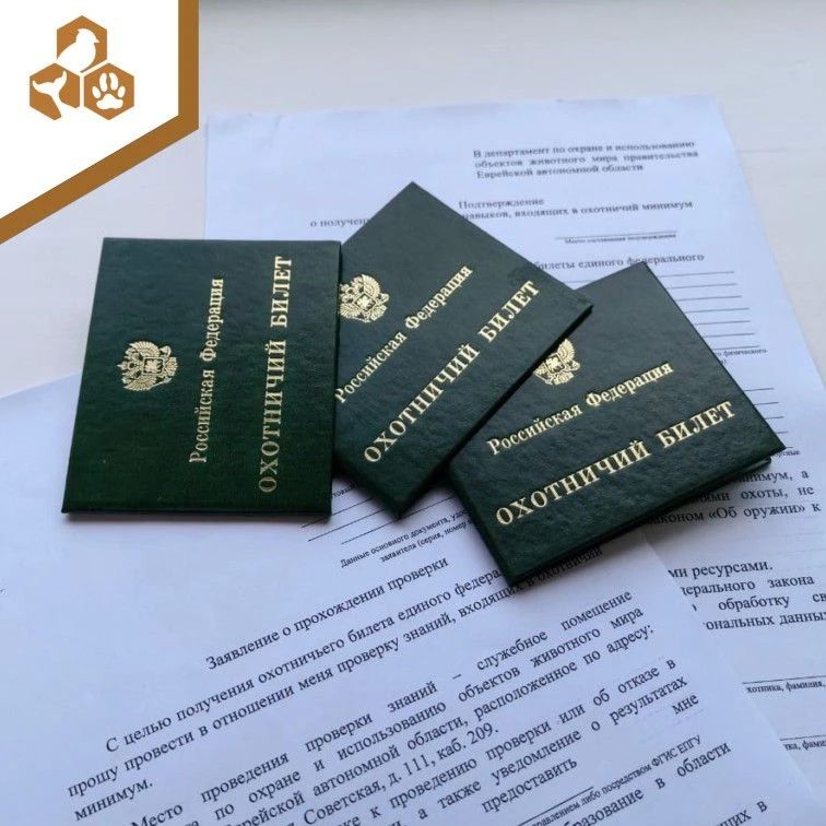 С 1 января 2025 года охотничий билет единого федерального образца выдается в форме электронного документа, однако по желанию гражданин может дополнительно получить охотничий билет на бумажном носителе