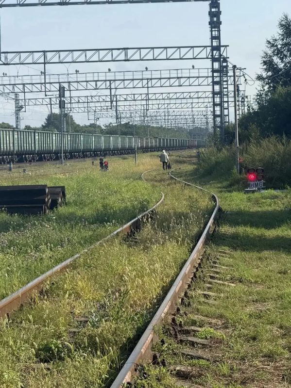 В рамках профилактической акции «Безопасный транспорт» сотрудники ЛОП на станции Биробиджан совместно с представителями железнодорожных предприятий провели комиссионное обследование объектов железнодорожной инфраструктуры В рамках профилактической акции «Безопасный транспорт» сотрудники ЛОП на станции Биробиджан совместно с представителями железнодорожных предприятий провели комиссионное обследование объектов железнодорожной инфраструктуры