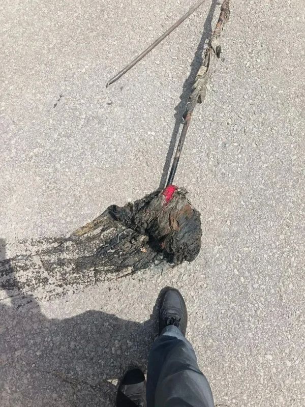Влажные салфетки смывают в унитаз биробиджанцы Влажные салфетки смывают в унитаз биробиджанцы