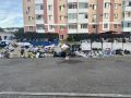 Мусором зарастает двор по ул. Шалаева в Биробиджане