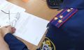 Возбуждено уголовное дело по факту хулиганских действий в отношении несовершеннолетнего жителя поселка имени Горького