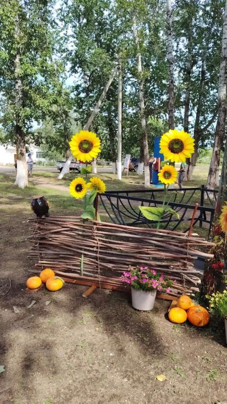 «Картофельный разгуляй» прошёл в селе Полевое ЕАО «Картофельный разгуляй» прошёл в селе Полевое ЕАО