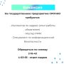 Вакансии и работа для тебя