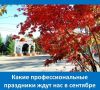 Сентябрь богат на профессиональные даты – отличный повод сказать «спасибо» тем, кто делает нашу жизнь лучше!