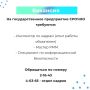 Вакансии и работа для тебя