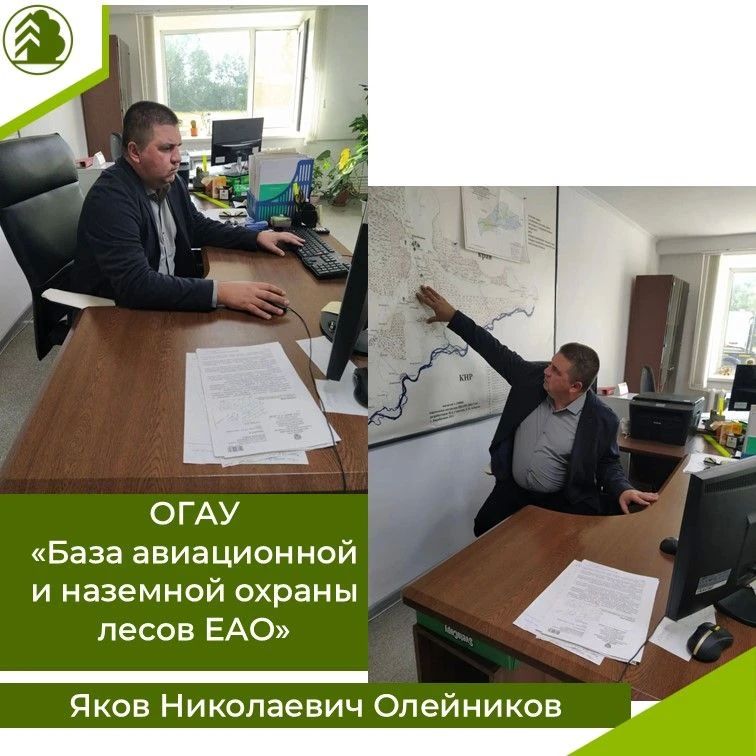Ко Дню работника леса рассказываем о тех, кто стоит на страже лесов ЕАО Ко Дню работника леса рассказываем о тех, кто стоит на страже лесов ЕАО