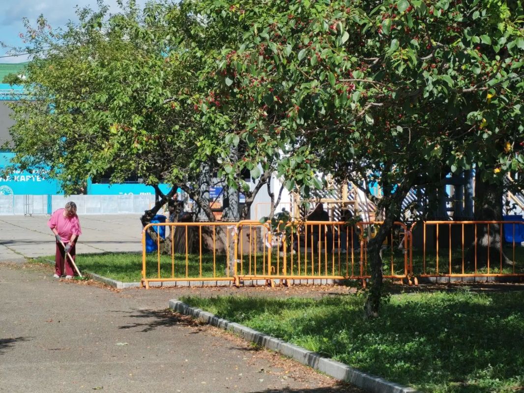 Внесли вклад в чистоту нашего города Внесли вклад в чистоту нашего города