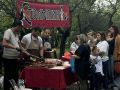 Фестиваль активных граждан «Точка на карте» собрал тысячи жителей Биробиджана и районов ЕАО