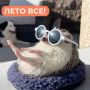 Лето всё!. Не хотели огорчать, но а куда деваться…