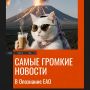 Нашумевшие новости Биробиджана