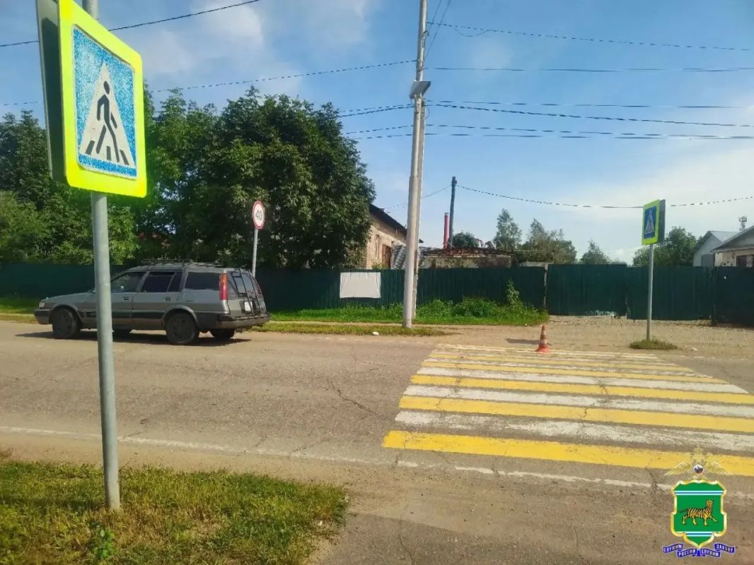 Подробности ДТП, в результате которого был сбит подросток в с. Птичник ЕАО