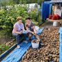 Картошка поспела — и «ИнформУИК» в самом разгаре!