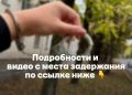 ������� �������� � �����������