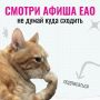 А ты уже знаешь куда пойдешь?