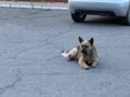 �������� ������ ������� �� ���� �������� �� ����� ��������� � �����������