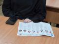 Студентов заинтересовала «техническая кухня» выборов