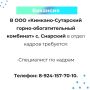 Вакансии и работа для тебя